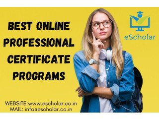 Best Online Professional Certificate Programs