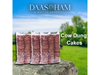 Dung Cake  In Andhra Pradesh