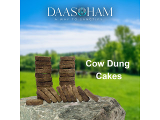Making Cow Dung Cake  In Uttar Pradesh