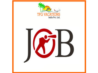 ONLINE MARKETING WORK IN TOURISM COMPANY REQUIRED FRESHERS